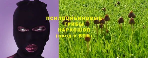 2c-b Алексин